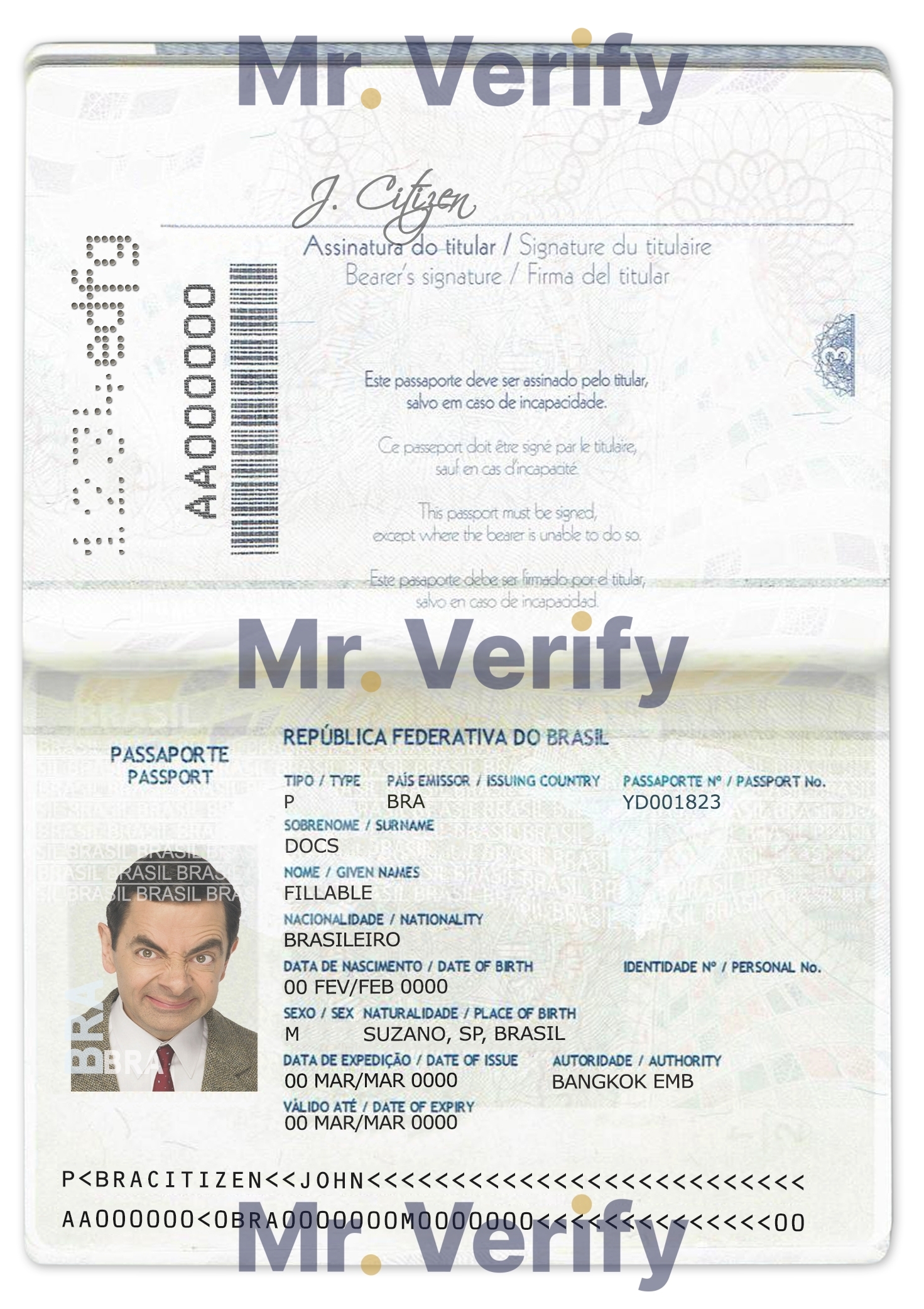 Brazil Passport psd template