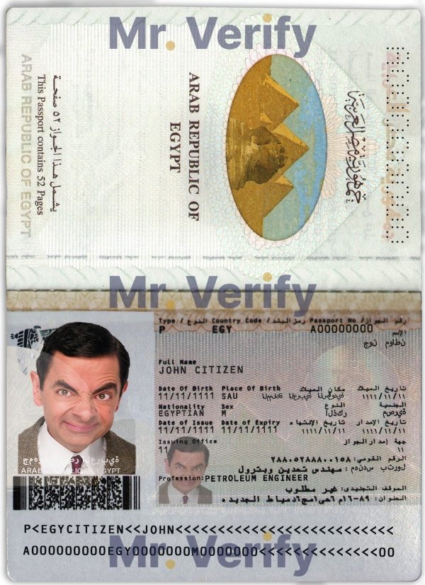 Authentic Egypt PSD Passport Template 600x827 - Cart
