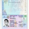 Fake Maldives Passport PSD Template