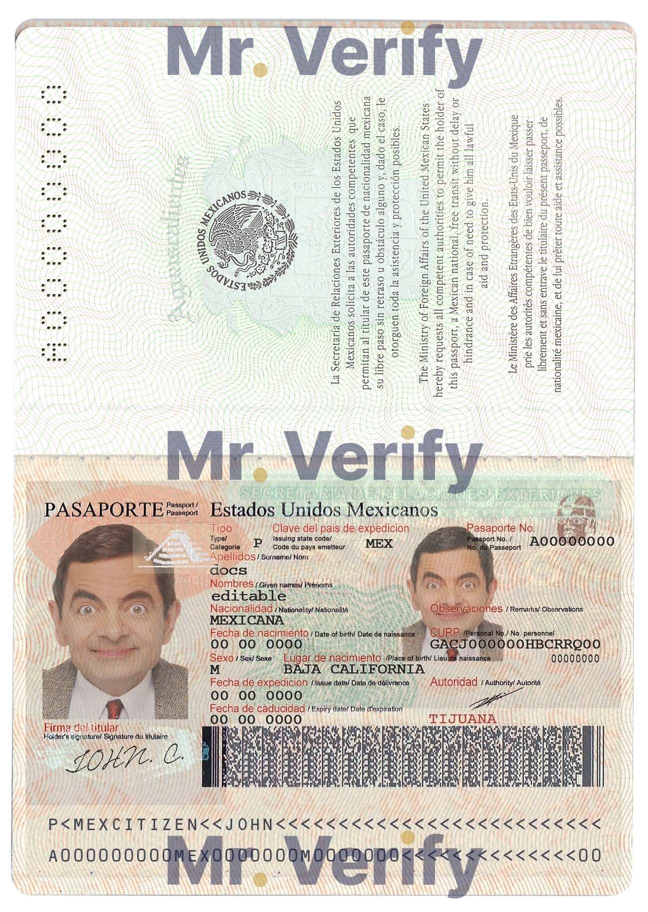 Fake Mexico Passport PSD Template