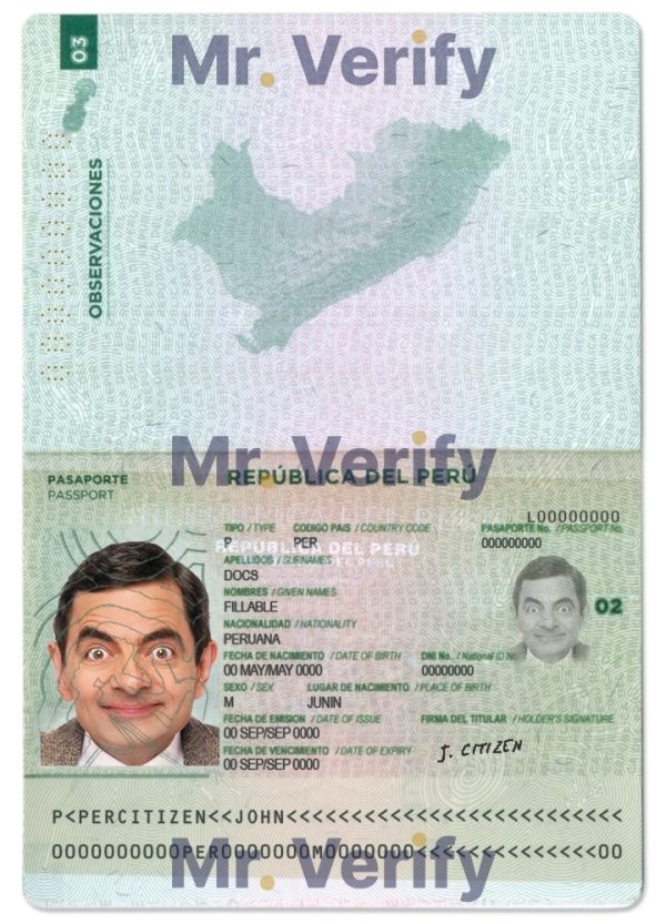 Fake Guinea Driver License Template | PSD Layer-Based