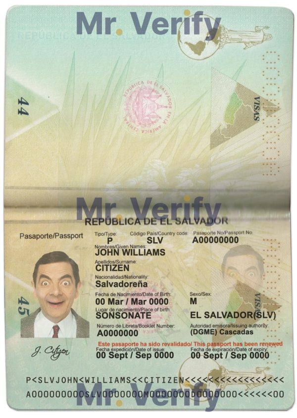 Fake Guinea Driver License Template | PSD Layer-Based