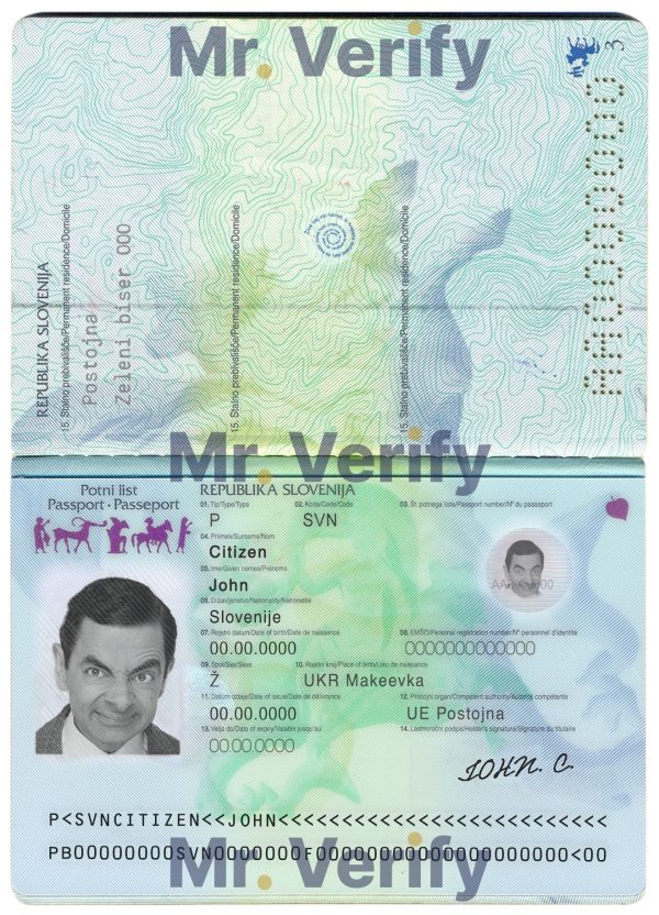 Authentic Slovenia PSD Passport Template 600x832 - Cart
