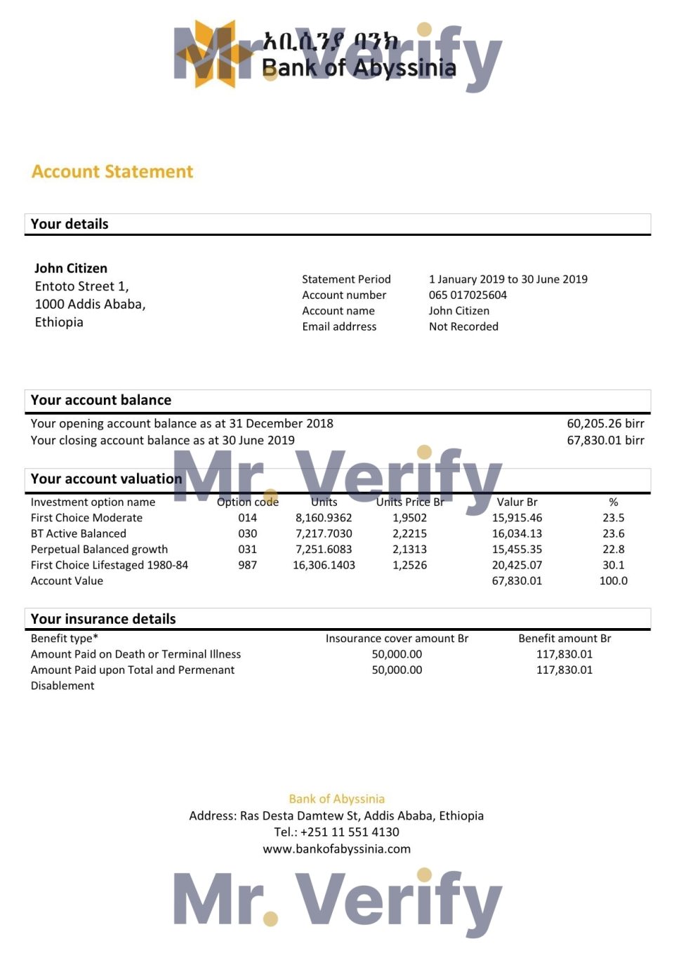 Ethiopia Bank of Abyssinia bank statement easy to fill template in .xls and .pdf file format