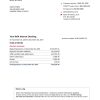 USA Bank of America bank statement easy to fill template in Word and PDF format