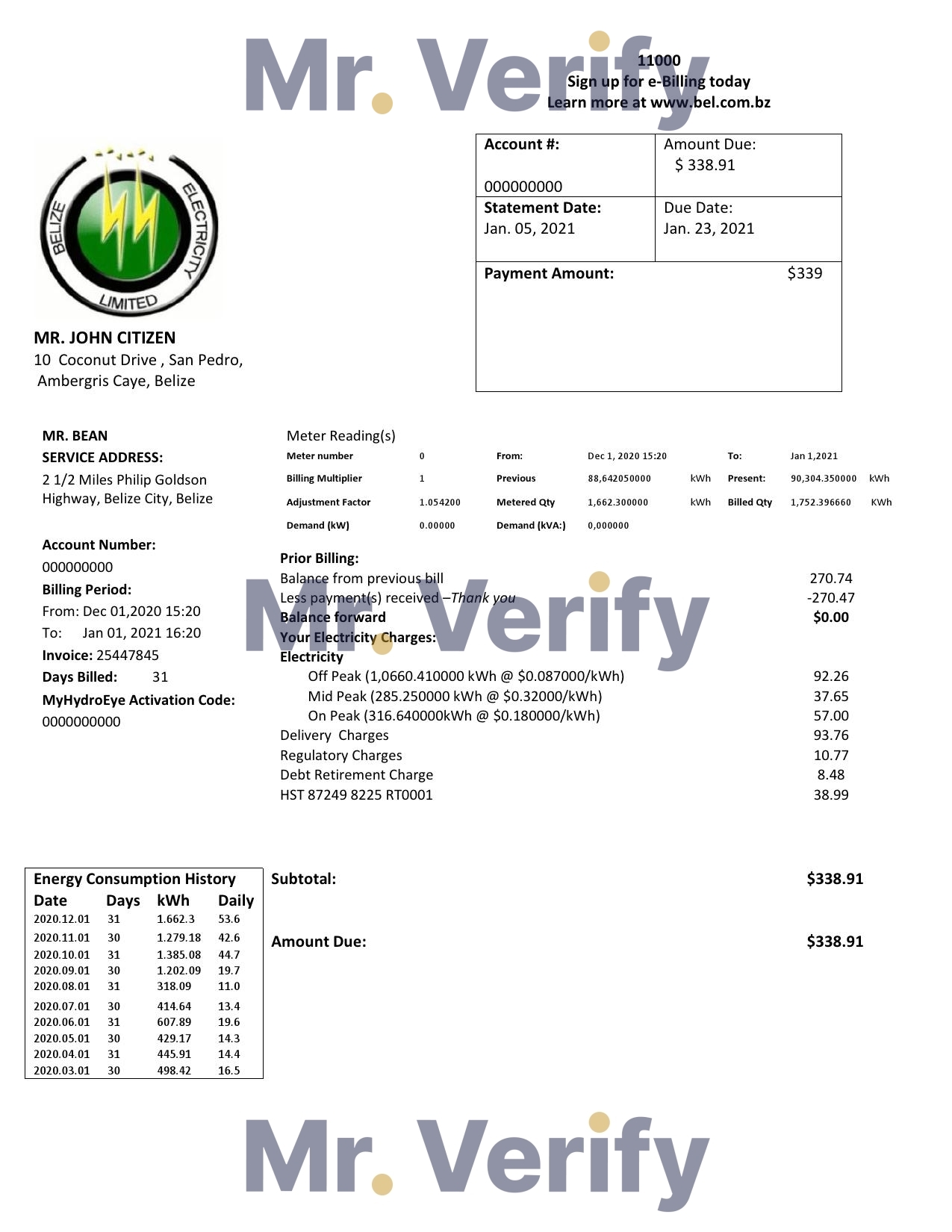 Belize Electricity Limited electricity utility bill template in Word and PDF format