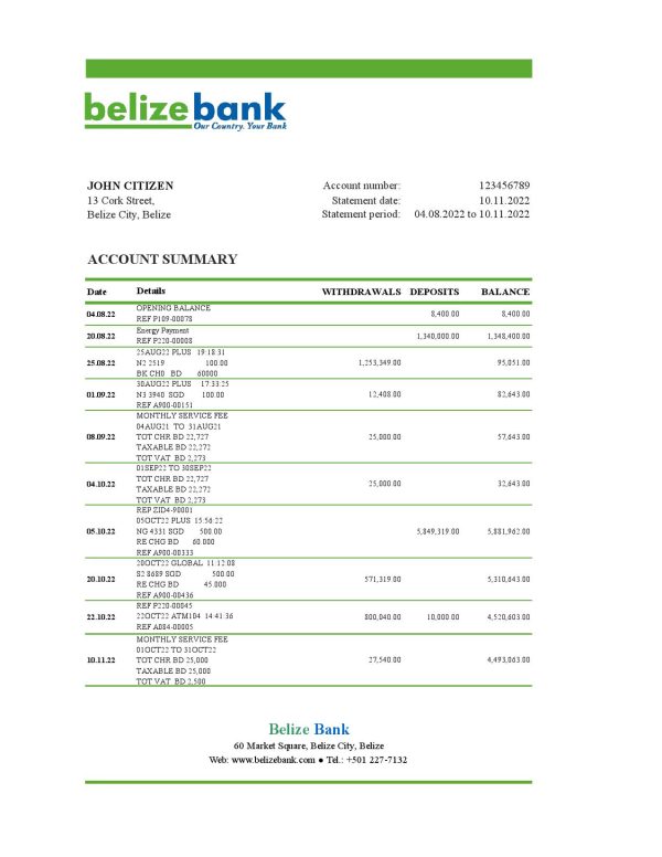 Belize bank statement template in Excel and PDF format, fully editable