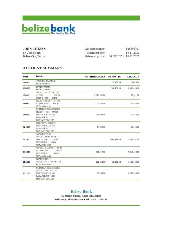 Belize bank statement template in Excel and PDF format, fully editable