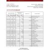 Bhutan Druk PNB bank statement template in Excel and PDF format (autosum)