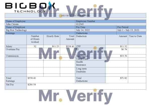 Australia Shield Geo consulting company pay stub Word and PDF template