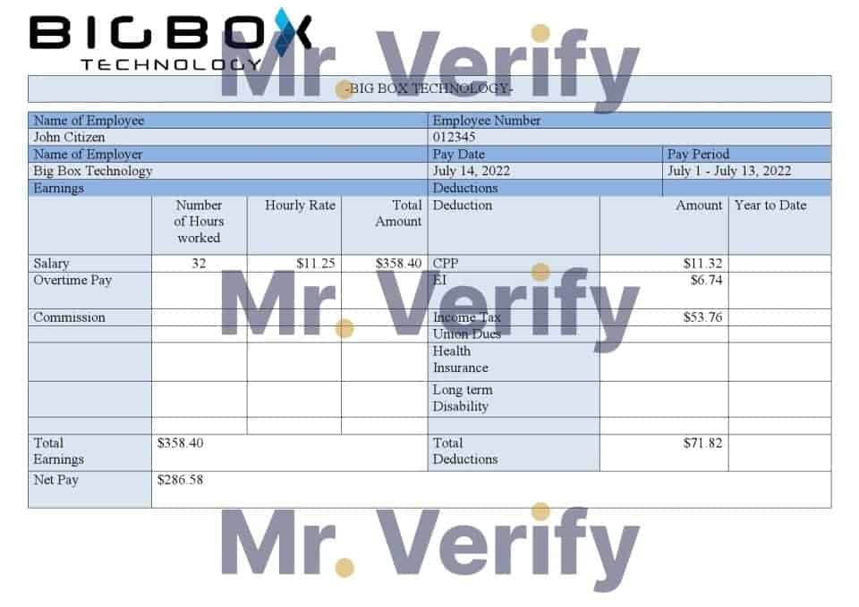 USA Big Box Technologies technology company pay stub Word and PDF template