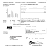 USA South Dakota Black Hills Energy utility bill template in Word and PDF format