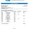 Bosnia and Herzegovina Bosna Bank International proof of address bank statement template in Word and PDF format