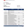 Botswana Bank Gaborone bank statement template in Excel and PDF format, fully editable