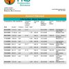 Botswana First National Bank statement template in Word and PDF format, good for address prove