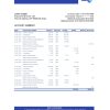 Brazil Banco Votorantim bank statement template in Excel and PDF format
