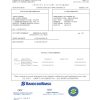 Brazil Banco do Brasil bank statement template in Word and PDF format