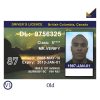 British-Columbia-old-Driver-License-Template