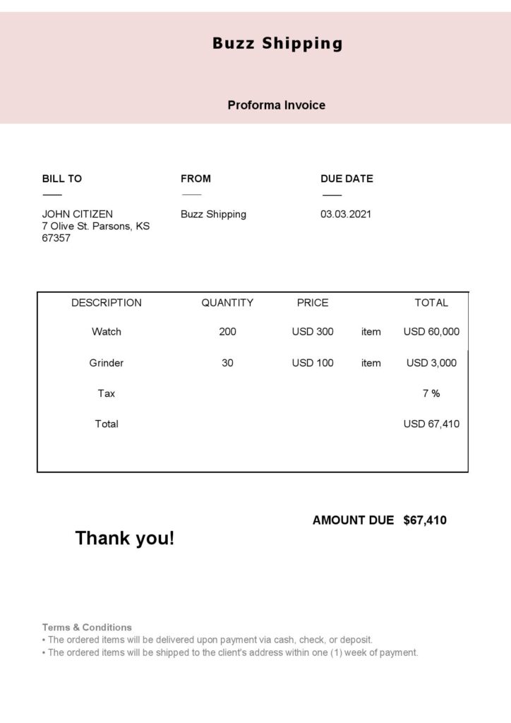 High-Quality USA Buzz Shipping Invoice Template PDF | Fully Editable