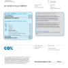 USA COX utility bill template in Word and PDF format