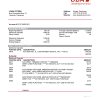 Cameroon UBA bank statement template in Word and PDF format