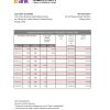 China Everbright Bank statement .xls and .pdf template, completely editable (AutoSum)