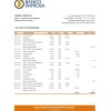 Costa Rica Banco Improsa bank statement Excel and PDF template