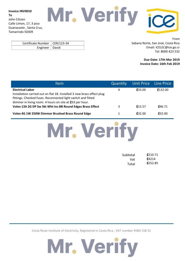 Costa Rica Costa Rican Institute of Electricity utility bill template in Word and PDF format