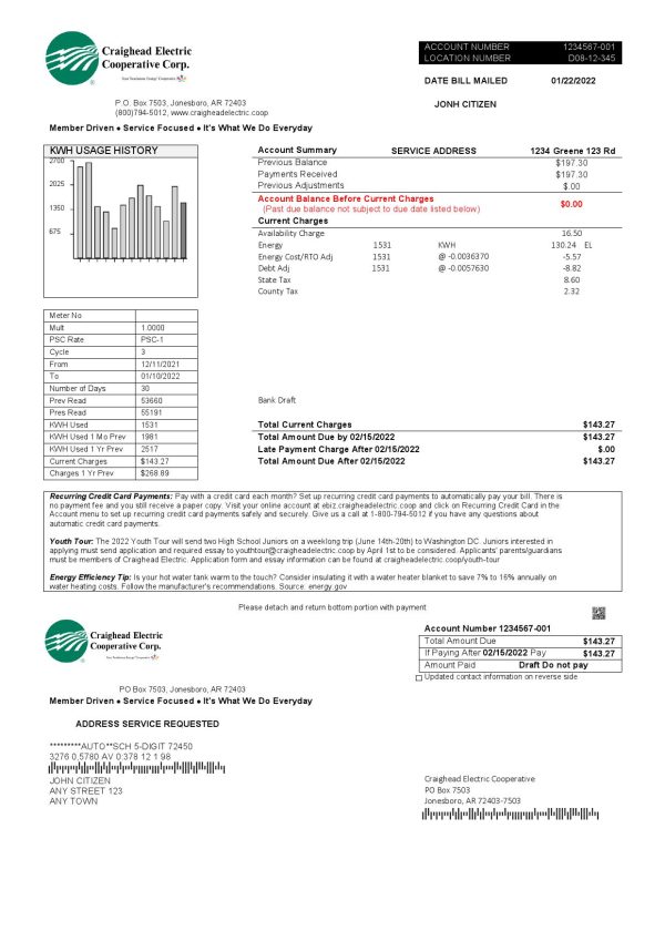 USA Craighead Electric utility bill template in Word and PDF format