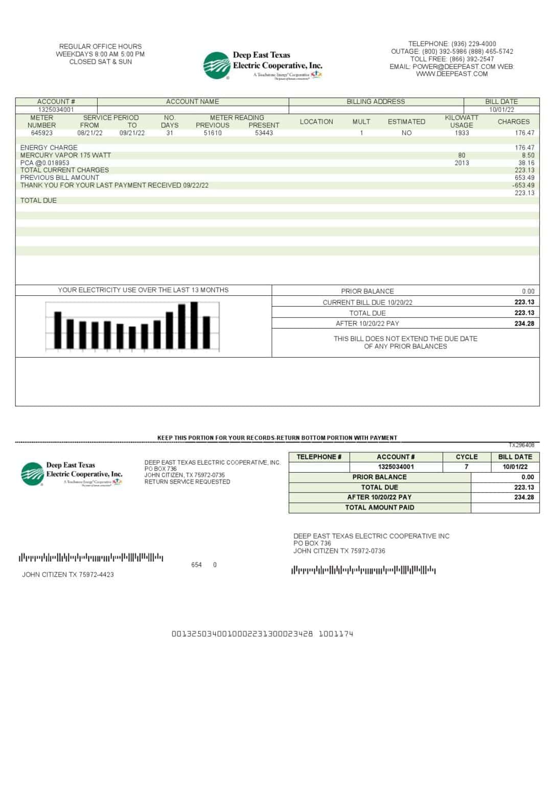 USA Deep East Texas Electric Utility Bill Template In Word And PDF ...