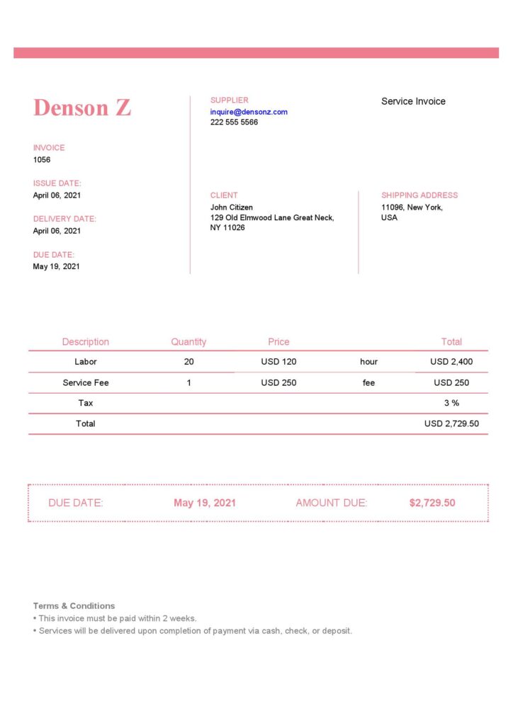 High-Quality USA Denson Z Invoice Template PDF | Fully Editable