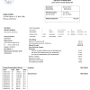 Dominica Electricity Services Limited electricity utility bill template in Word and PDF format
