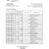 Dominican Republic Bid bank statement Excel and PDF template