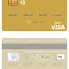 Editable Netherlands ABN AMRO Bank visa debit card Templates in PSD Format