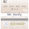 Editable Philippines Bank of the Philippine Islands visa debit card Templates in PSD Format