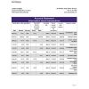 Ethiopia Awash Bank statement Excel and PDF template