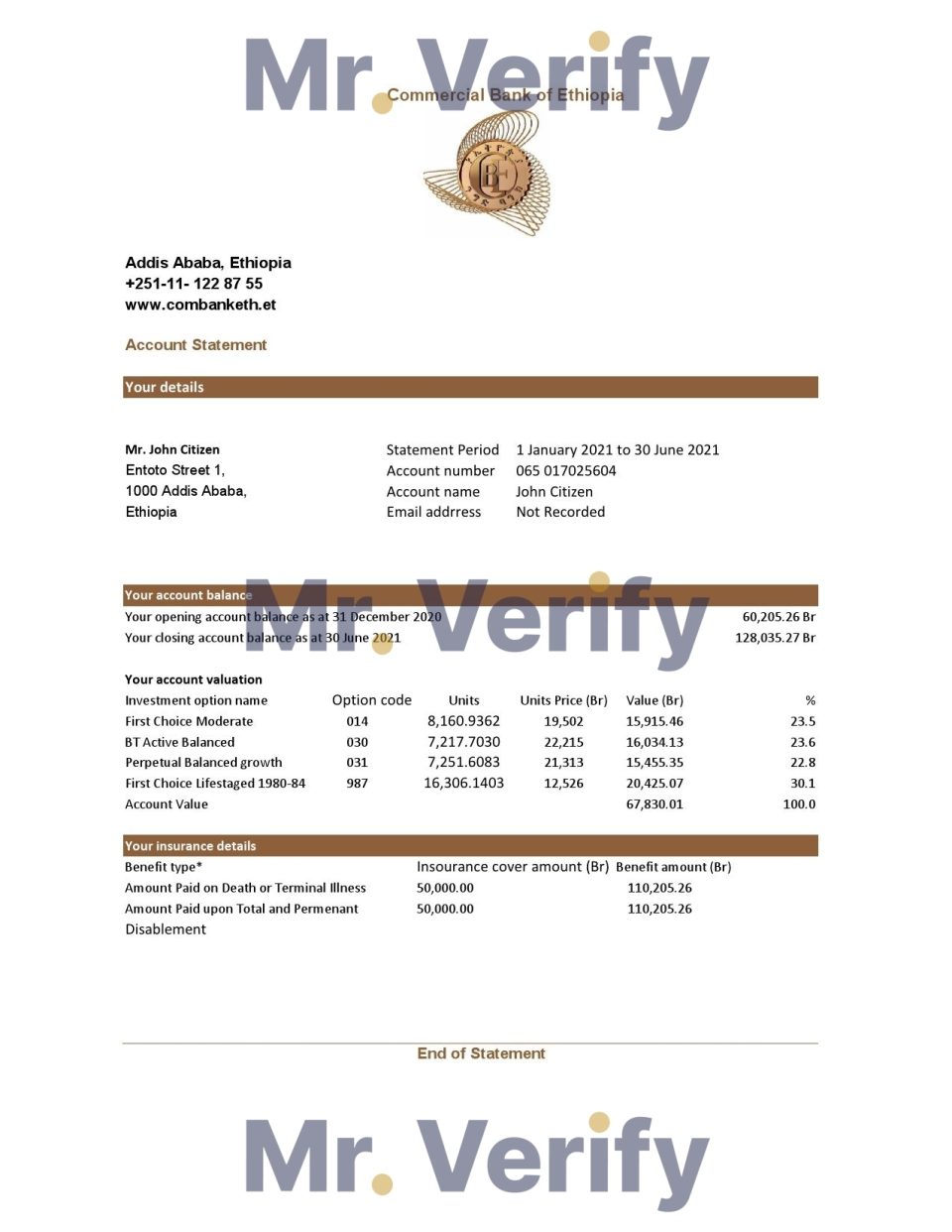 Ethiopia Commercial Bank statement easy to fill template in Excel and PDF format