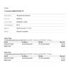 USA Facebook invoice template in Word and PDF format