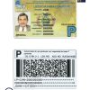 Fake-Bolivia-Driver-License-Template