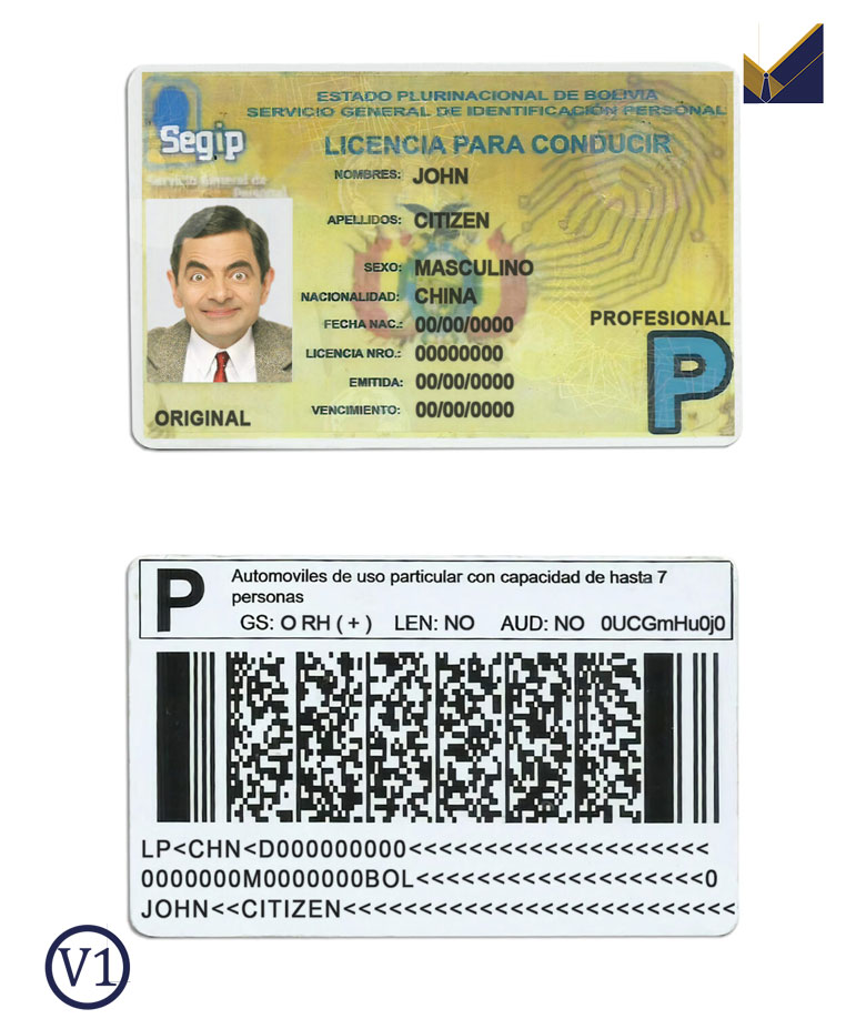 Fake Bolivia Driver License Template | PSD Layer-Based