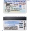 Fake Canada province British Columbia Driver License Template | PSD Layer-Based