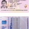 Fake Ireland Driver License Template | PSD Layer-Based
