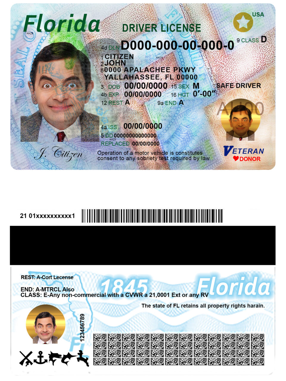 Fake USA Florida Driver License Template