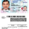 Fake USA Illinois Driver License Template