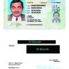 Fake USA Montana Driver License Template