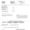 USA Fedex invoice template in Word and PDF format