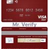 Fillable Djibouti Central Bank of Djibouti visa debit card Templates | Layer-Based PSD