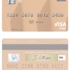 Fillable Nigeria Access Bank Plc visa debit card Templates | Layer-Based PSD