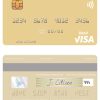 Fillable North Korea Daesong Bank visa debit card Templates | Layer-Based PSD