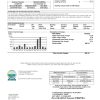 USA Florida Florida Keys utility bill template in Word and PDF format